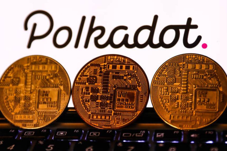 Polkadot