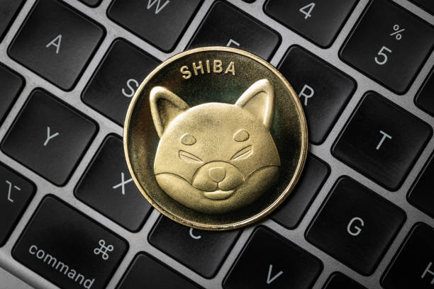 Shiba Inu