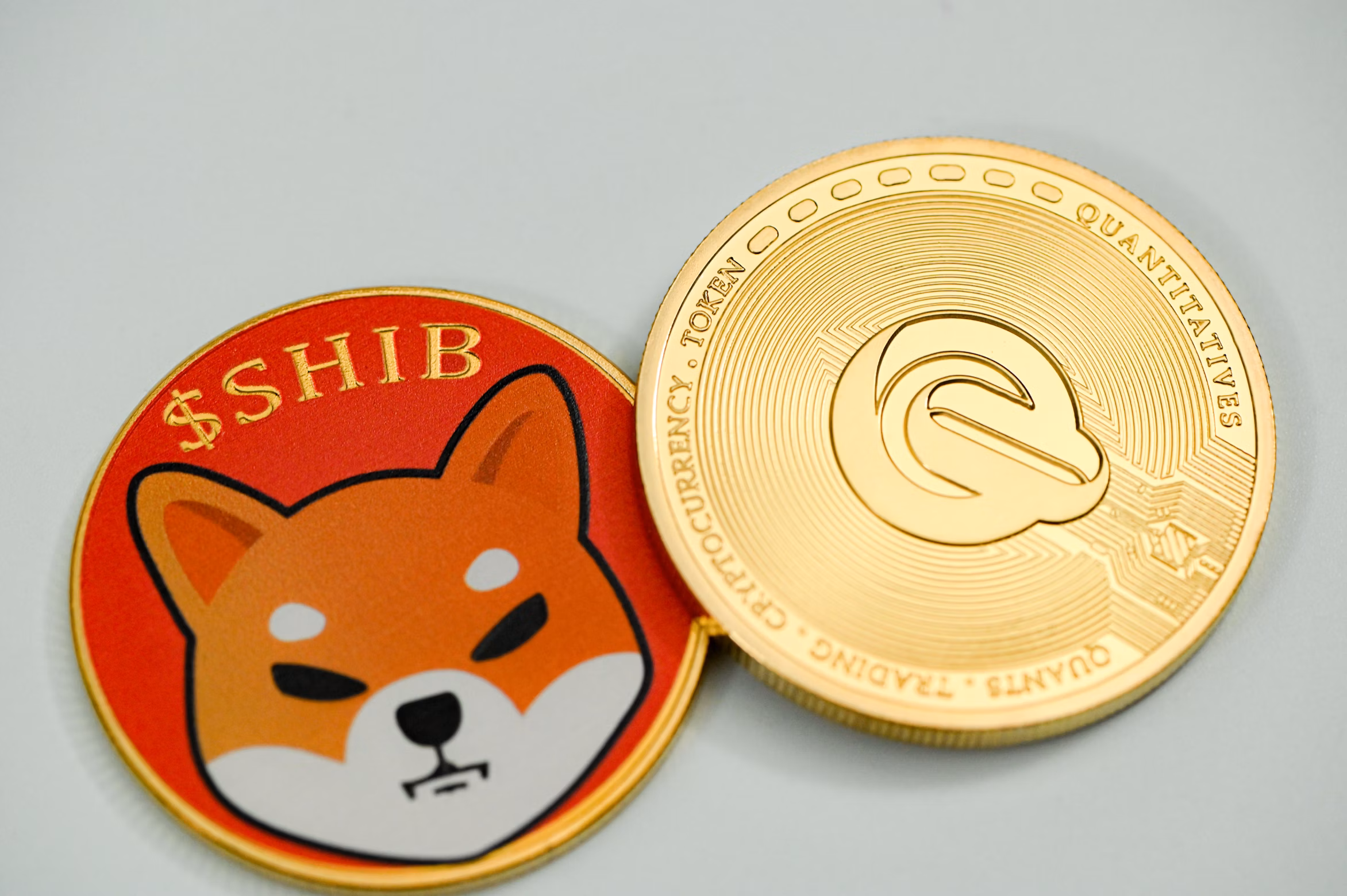 Shiba Inu Team Member Reveals ‘Primary Challenge’ And ‘Top Priority’ Amid Market Uncertainty