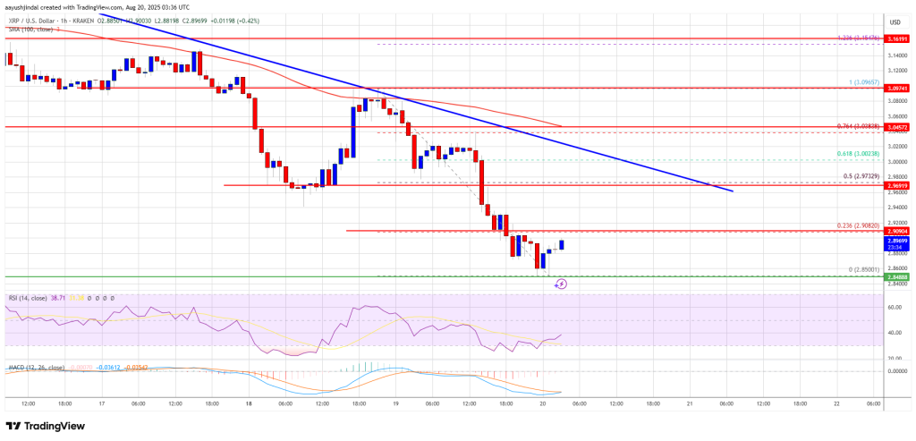 XRP Price 