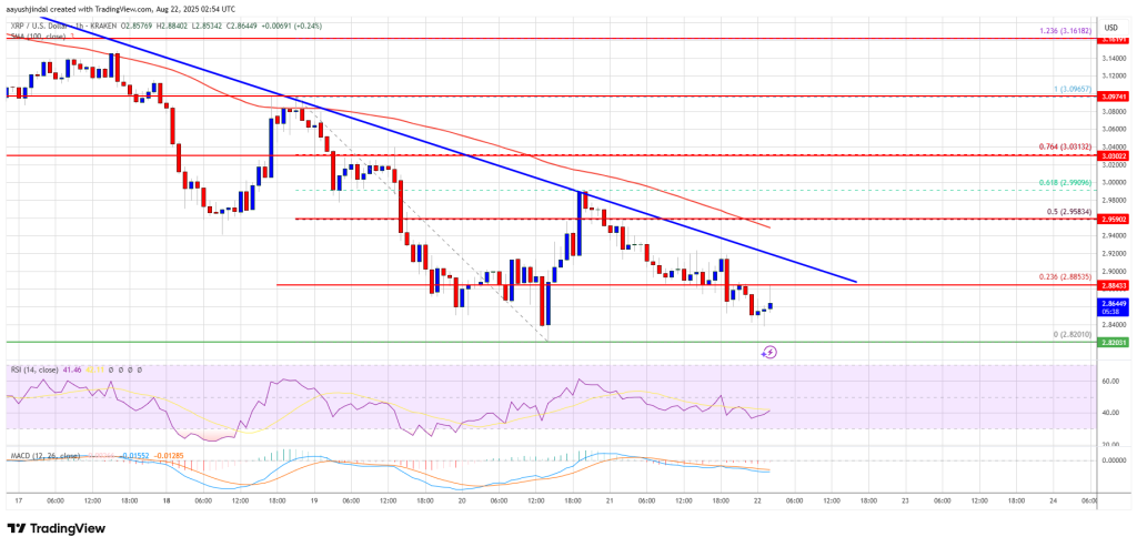 XRP Price