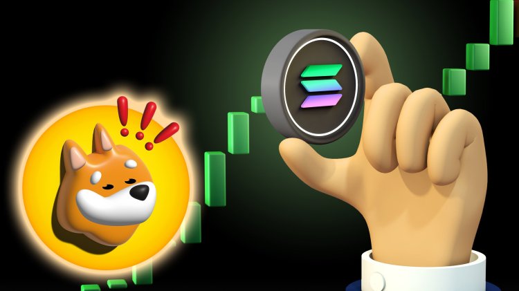 bonk-memecoin-solana-nouveau-rallye