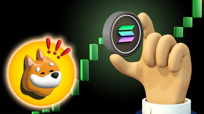 bonk-memecoin-solana-nouveau-rallye