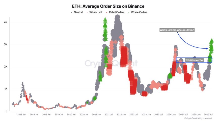 Tamaño promedio de orden de Ethereum en Binance | Fuente: Darkfost