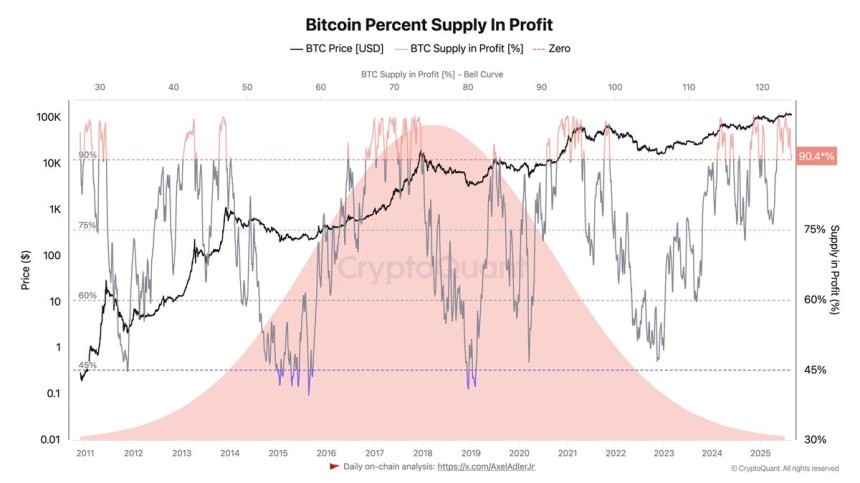 Bitcoin Percent Supply In Profit | Source: Darkfost