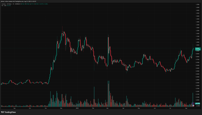 Cardano Defies Market Pullback: Might On-Chain Momentum Sign a 70% Run Forward?