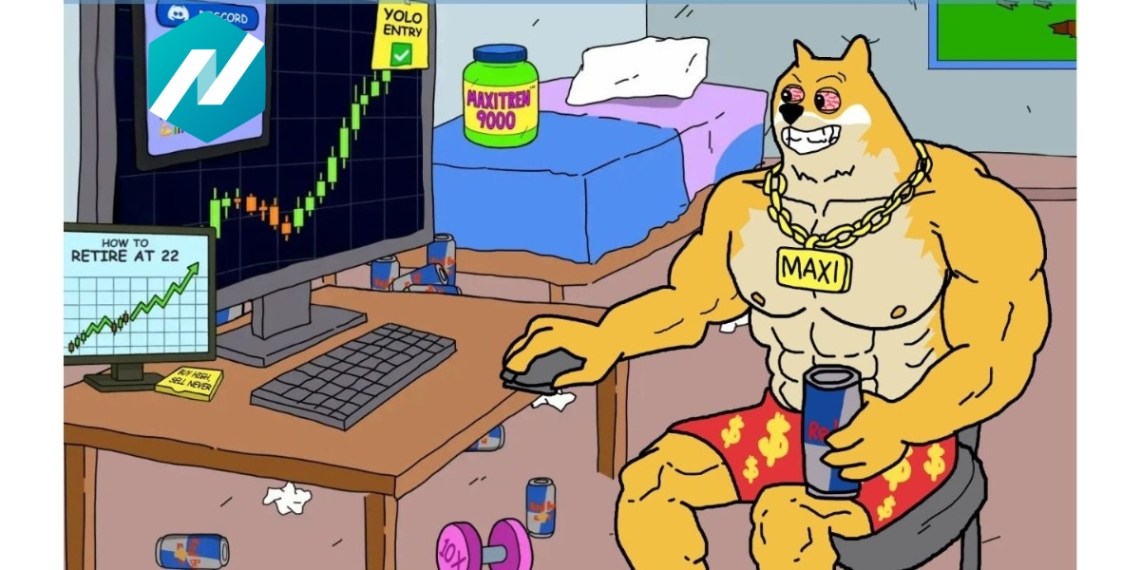 comprare maxi doge - cover