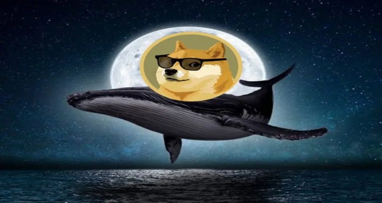 A Dogecoin bálnák átmozgatják pénzeszközeiket ebbe a feltörekvő mesterséges intelligencia altcoinba, 9 303%-os árfolyam-emelkedést várva 2025 januárjáig.