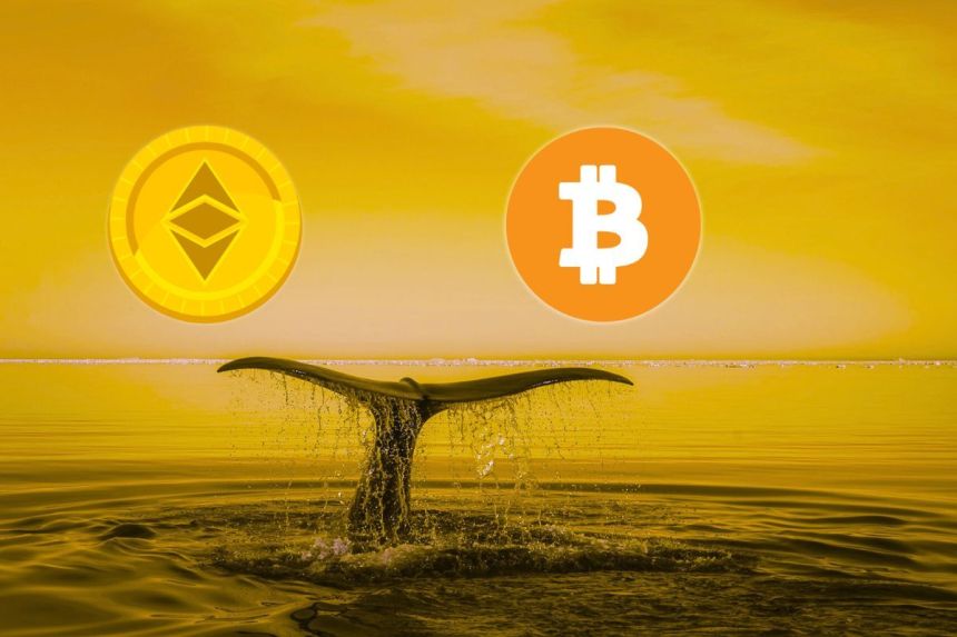 ethereum whales