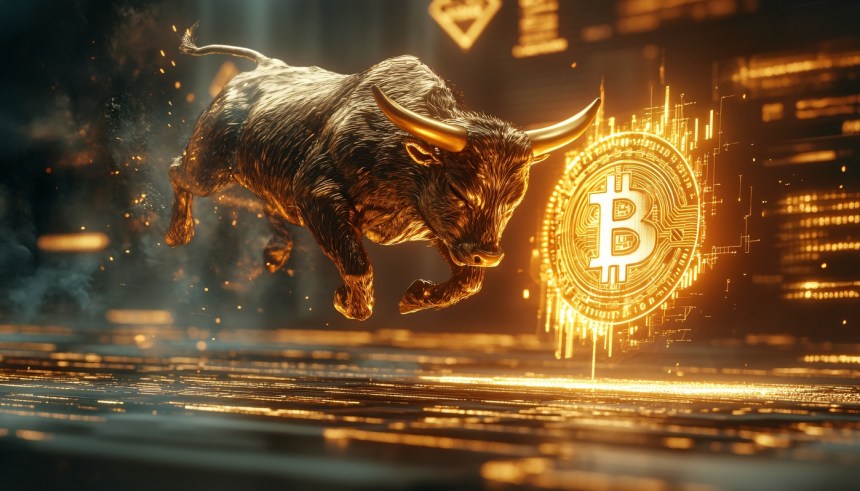 XRP naar $30? Dit zegt de data over Ripple's bull cycle potentie