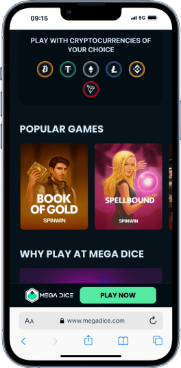 mobile screenshot of Mega Dice home page