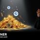 The BAY Miner