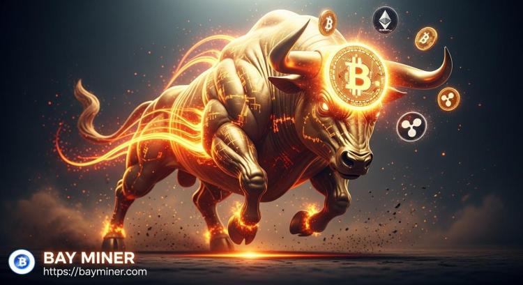 BAY Miner