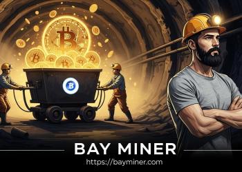 BAY Miner