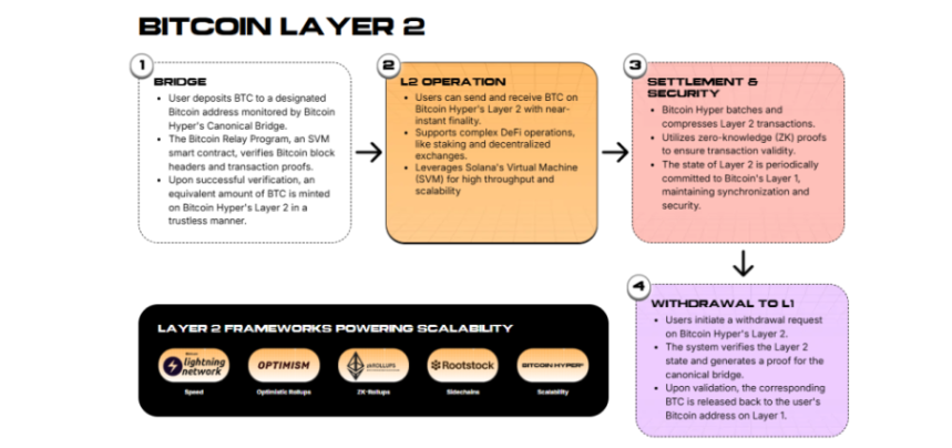 layer2