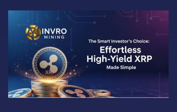 The Smart Investor’s Choice