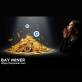 The BAY Miner