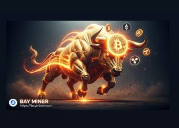 BAY Miner