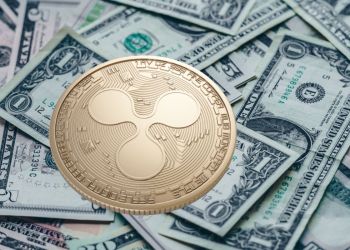 xrp market