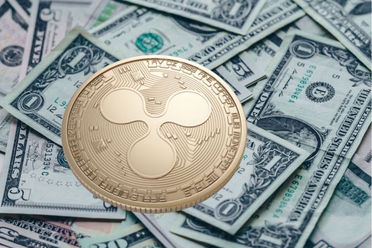 xrp market