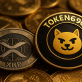 XRP osiąga kluczowy poziom – Token6900 największym skokiem roku 2025