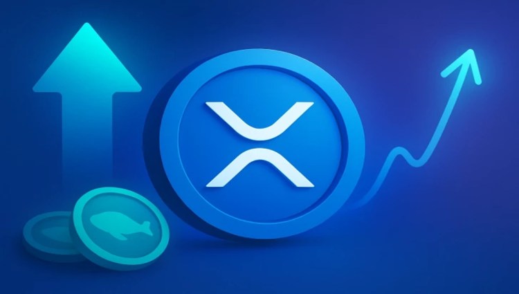 Az XRP árelőrejelzése: A szakértők az Token6900 robbanásszerű növekedési potenciáljához hasonlítják