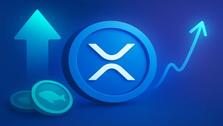 Az XRP árelőrejelzése: A szakértők az Token6900 robbanásszerű növekedési potenciáljához hasonlítják