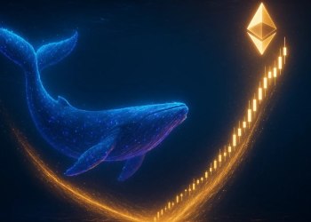 イーサリアム 今後：クジラの大量購入と「V字回復」への期待