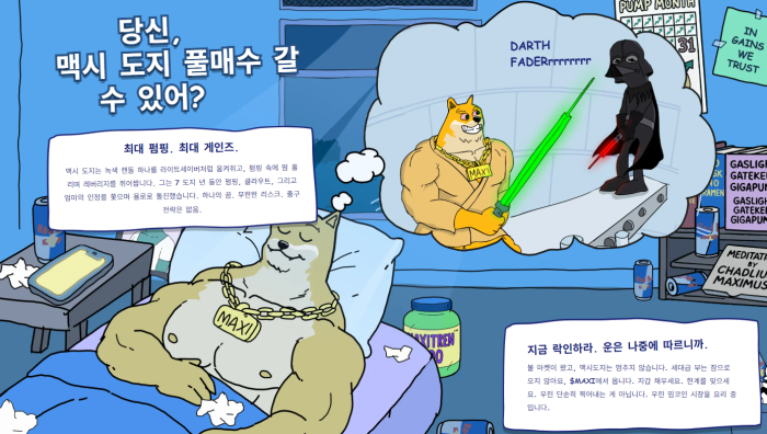 맥시도지