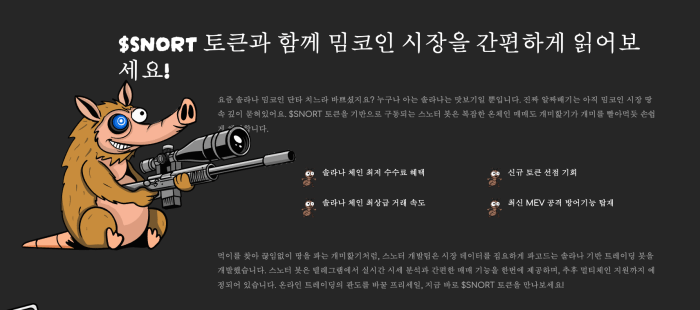 스노터 토큰