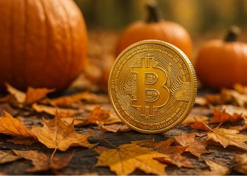 10月に上昇が期待される仮想通貨おすすめ6選