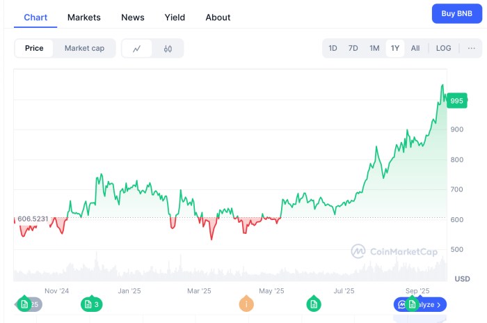 BNB is a priced price for one year.