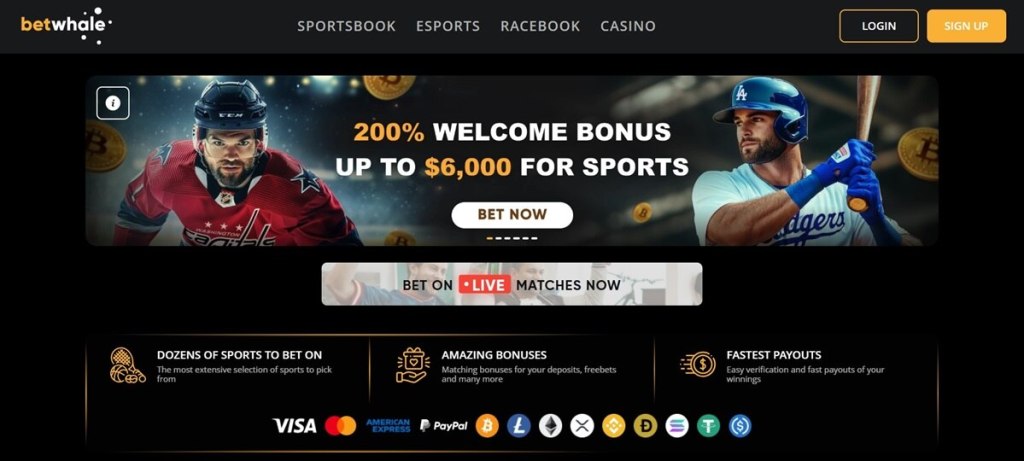 BetWhale – Best New Table Tennis Betting Site in 2025