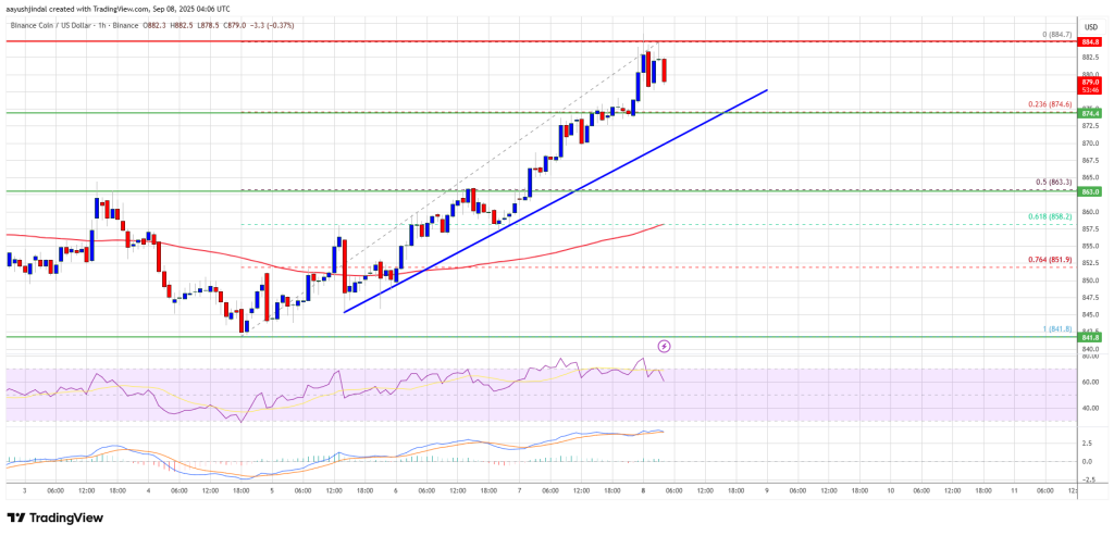 BNB Price Breakout Watch – Can Price Blast Through $900 Resistance?