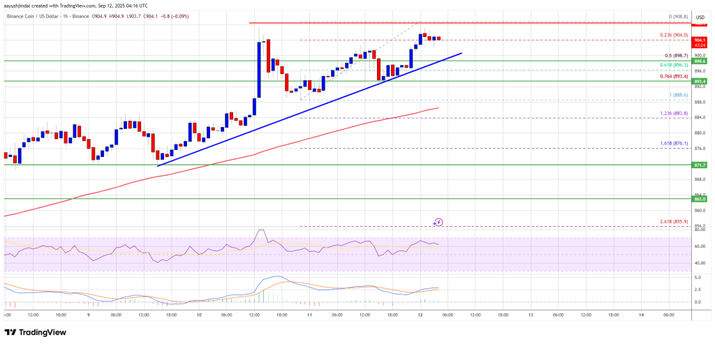 BNB Price Surges to Fresh ATH 