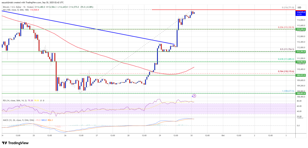 Bitcoin Price
