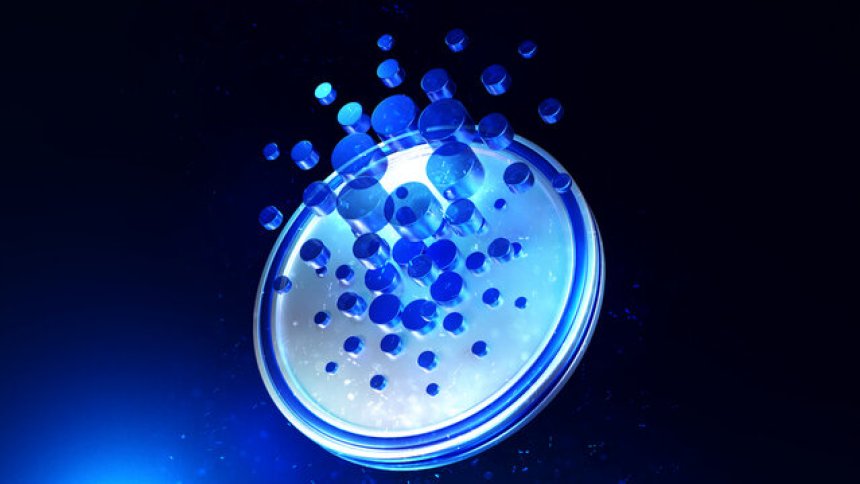 Cardano