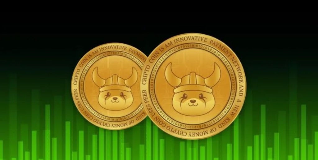 Čo je Floki (FLOKI)