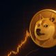 ドージコイン 今後の展望：9月をプラスで終える可能性はあるか