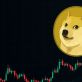 ドージコイン 今後の価格予測と注目すべき次のミームコイン