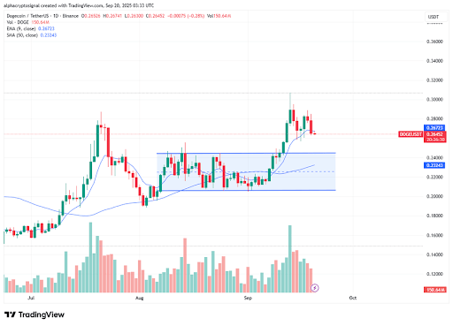 Dogecoin Bullish Echo: 1-2 Formation Returns As Value Breaks Key Channel