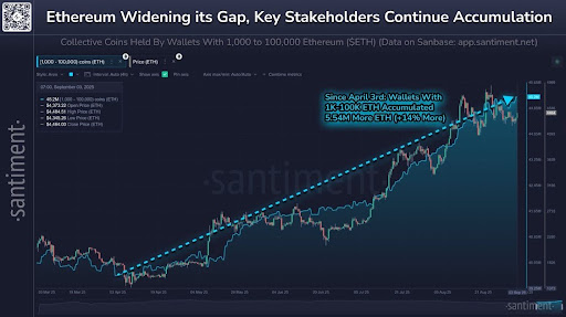 Ethereum