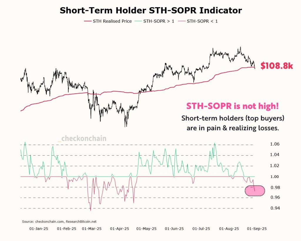 Bitcoin Term Holder Sopter Sopter
