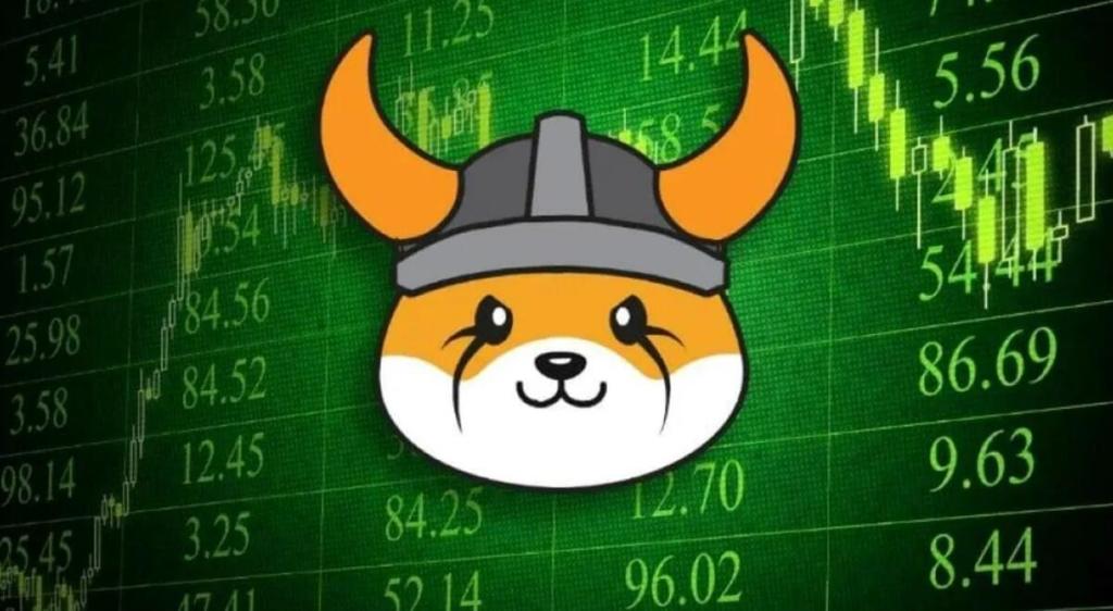 Kaj lahko počneš z FLOKI