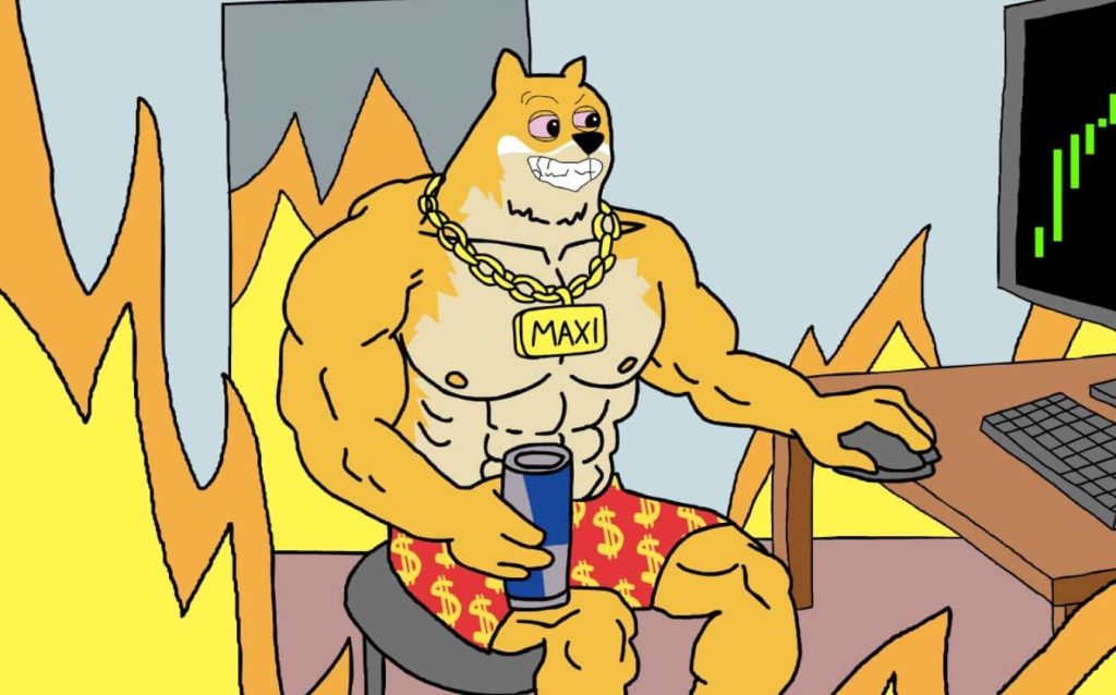 Maxi Doge Prognose 2030
