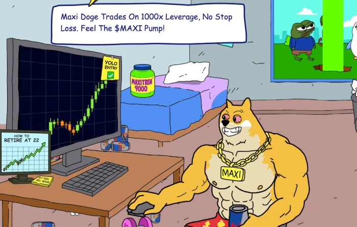 Maxi DOge enters the entire DOGE place.