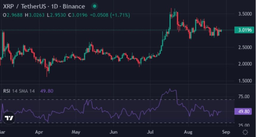 Not XRP or Chainlink Today, Here's Why XYZVerse (XYZ) Is Capturing Whale Interest This Week