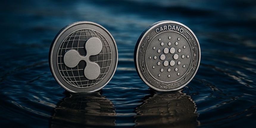 仮想通貨おすすめ：リップル（XRP）やカルダノ（ADA）より先に10ドル到達が期待される3つの銘柄で300ドルを3万ドルに