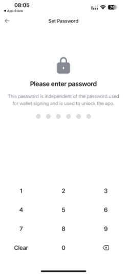 Registering a password in the D’CENT Wallet app