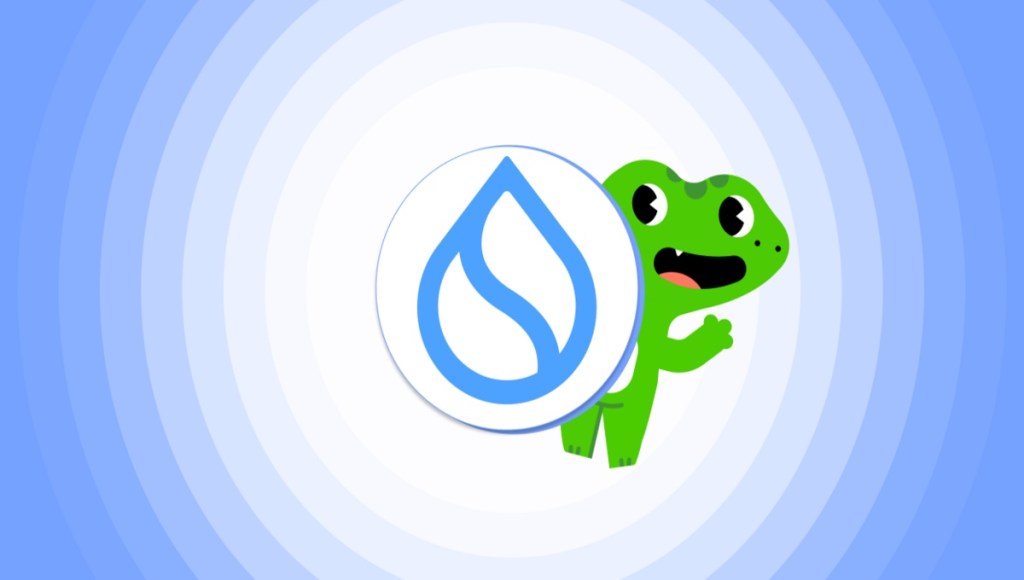 SUI kopiena — kā pievienoties un kāpēc tā ir svarīga